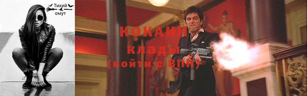 тгк Магас