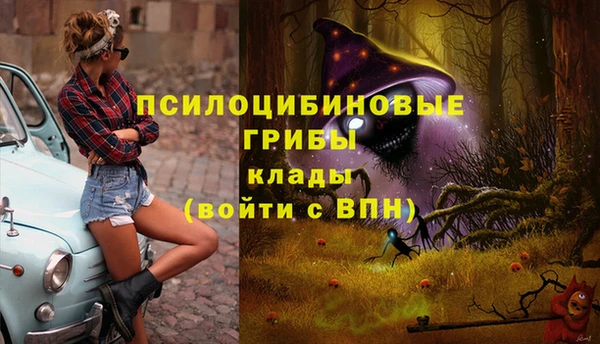 мдпв Лиски
