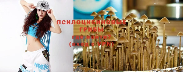 apvp Майский